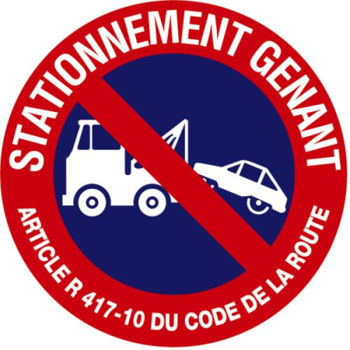 DISQUE D.300 MM STATIONNEMENT
